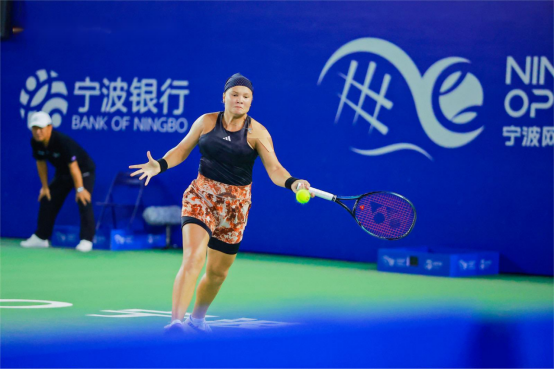 系统性不平