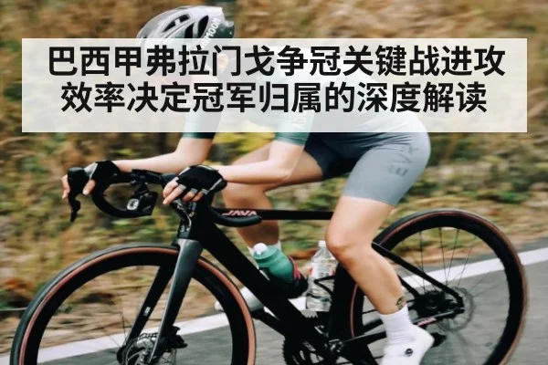 巴西甲弗拉门戈争冠关键战进攻效率决定冠军归属的深度解读